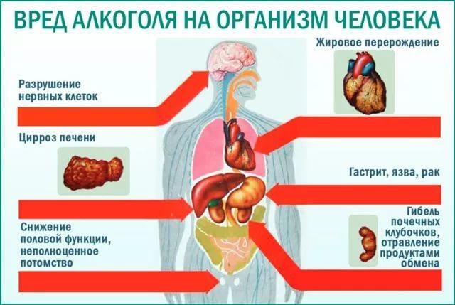 https://im0-tub-ru.yandex.net/i?id=56dadd164017b02cf56641ab5479c802-l&n=13