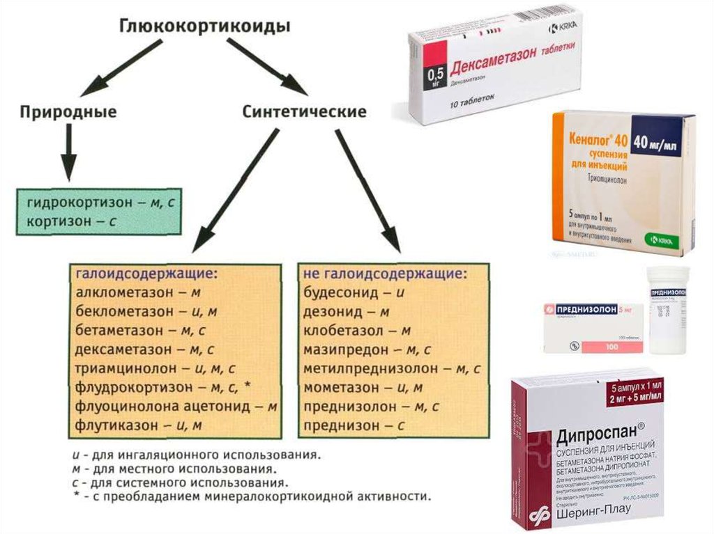 Гаметоцидные препараты это препараты которые воздействуют на